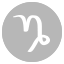 Capricorn Stargazer Zodiac Necklace